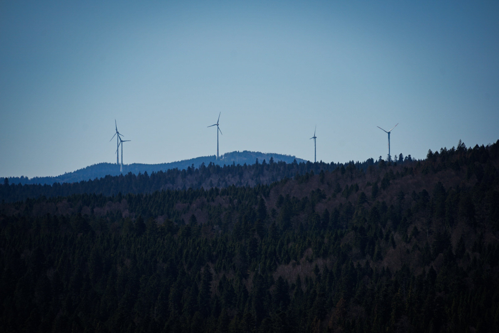 der schwarzwald erwacht aus dem winterschlaf